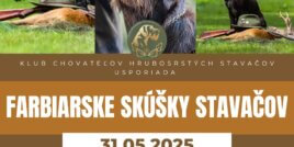 Farbiarske skúšky stavačov – 31.05.2025