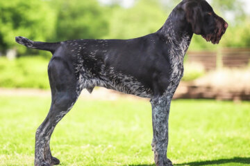 Photoroom_20260123_125304