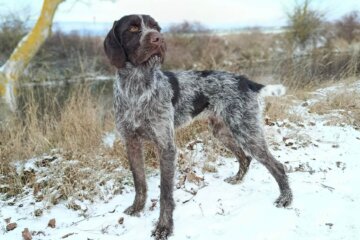 att.GkfAn0VlcATaLiE4ZywHeLIfom5qByFl697i3_bXev0