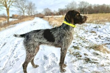 att.WqWsnqkp_Ptmi7BFZykuYMSkLrbOl_l-pcyXWzCGrTY