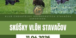Skúšky vlôh stavačov 11.04.2026