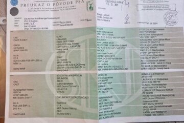 att.PmO3yuiUIMpQ1mpUILjfIxVr5bBbkCsJQF0Q9SYhTgE