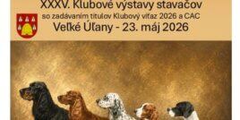 Klubová výstava stavačov 2026 – minikatalóg