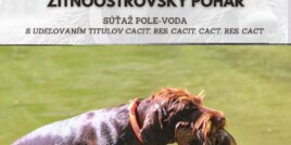 VII. ročník Žitnoostrovského pohára, medzinárodná súťaž stavačov, pole-voda s udeľovaním titulov CACIT, res. CACIT, CACT, res. CACT.