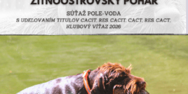 VII. ročník Žitnoostrovského pohára, medzinárodná súťaž stavačov,  pole-voda s udeľovaním titulov CACIT, res. CACIT, CACT, res. CACT.