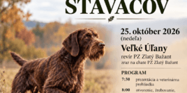 SKÚŠKY VLÔH STAVAČOV – SVS 2026